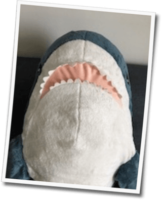 Mugshot of IKEA shark plushie